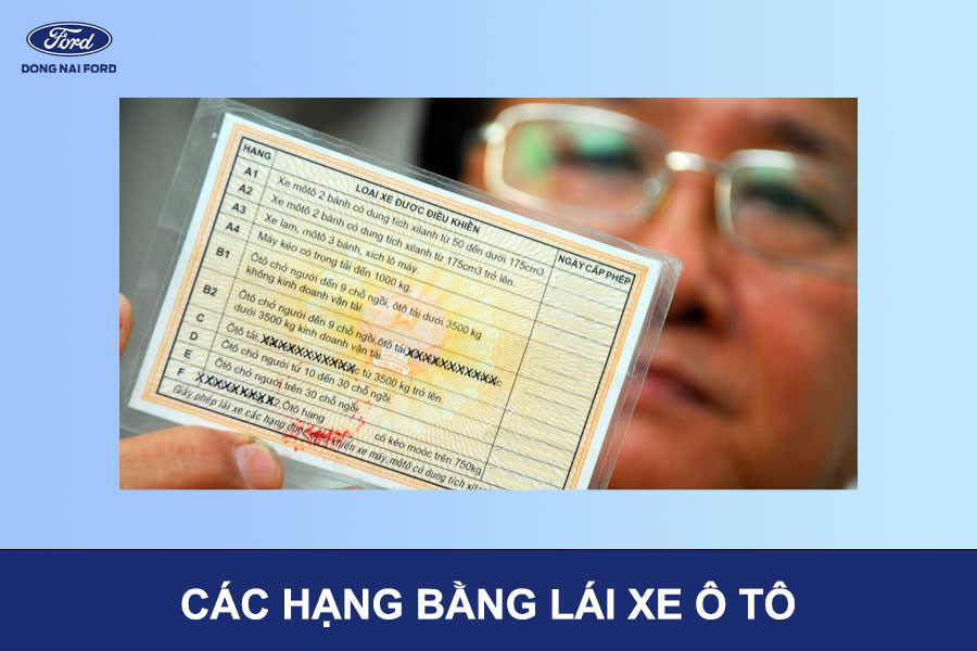 cac-hang-bang-lai-xe-o-to