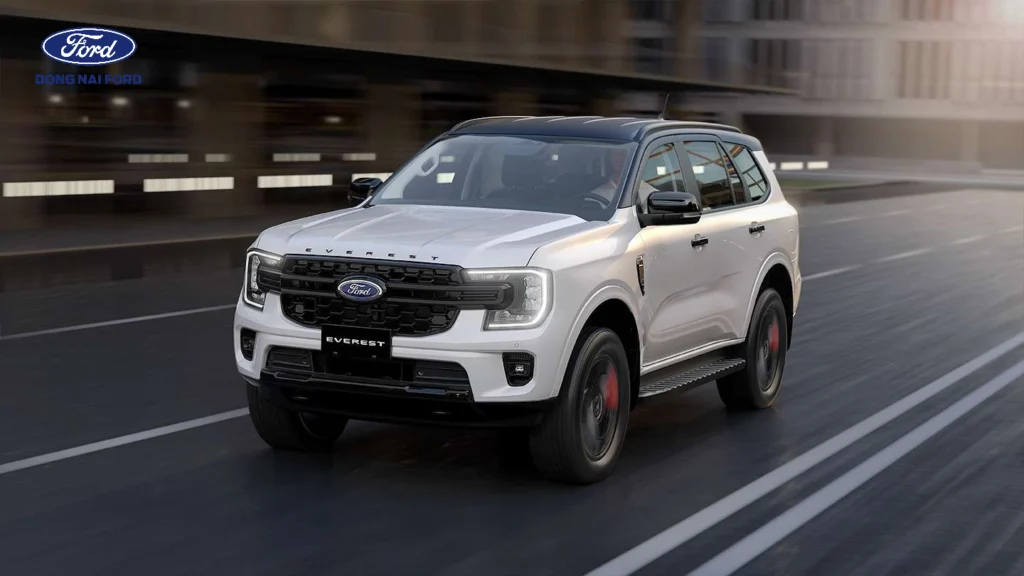 Kinh nghiệm chọn mua xe Ford nhập khẩu phù hợp