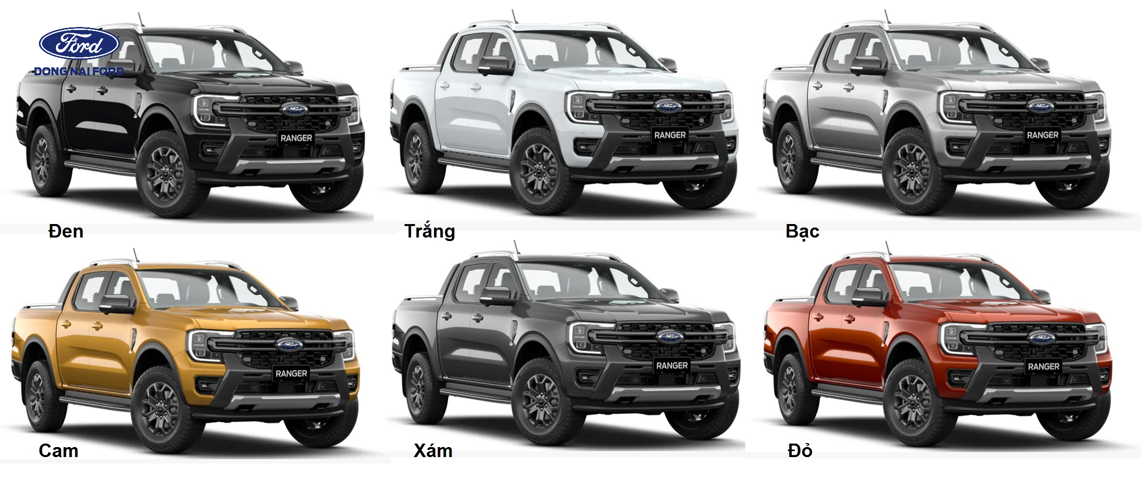 Lý do nên mua xe Ford 4 chỗ tại Đồng Nai Ford