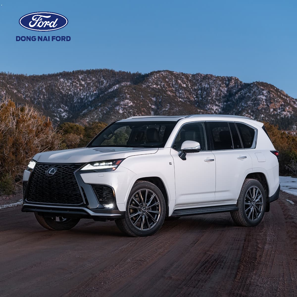 Xe 5 chỗ gầm cao hạng sang Lexus NX 350h