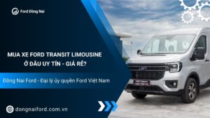 Mua xe Ford Transit Limousine ở đâu uy tín Gợi ý từ Đồng Nai Ford